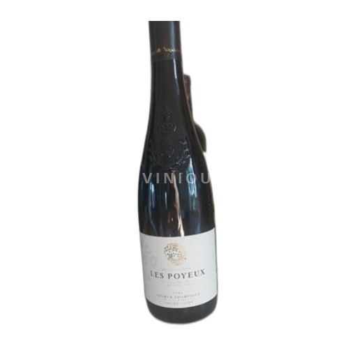 Vallée de la Loire Saumur-champigny Robert et Marcel 2023