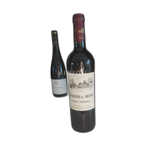 Bordeaux Haut-Médoc Château Arcins 2020