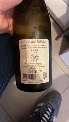 Loiren laakso Muscadet-sèvre-et-maine Le Clos des Millauds 2024