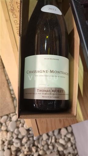 Borgogna Chassagne-Montrachet Thomas Morey 2023