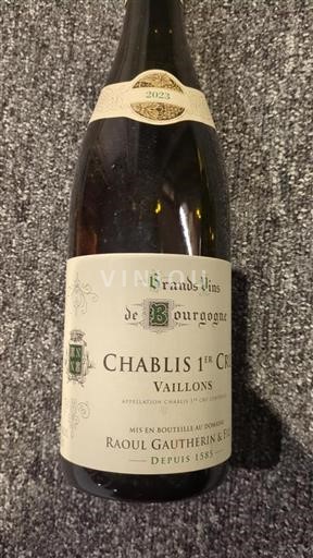 Bourgogne Ikke specificeret Premier Cru Raoul Gautherin et Fils Vaillons 2023