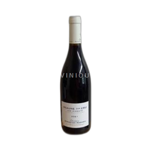 Borgogna Beaune Premier Cru Domaine Sébastien Magnien Les Aigrots 2021