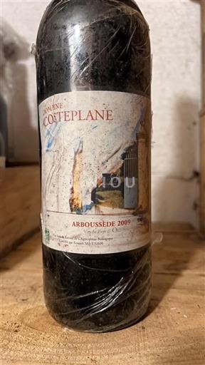 Languedoc Ospecificerad Domaine Costeplane Arboussède 2009