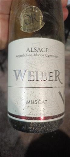 Elsass Weiber Muscat Ohne Jahrgang