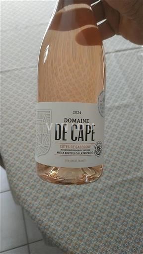 Sudoeste Côtes de Gascogne Domaine Cape 2024