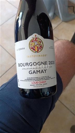 Burgundsko Louis Chavy Gamay 2020