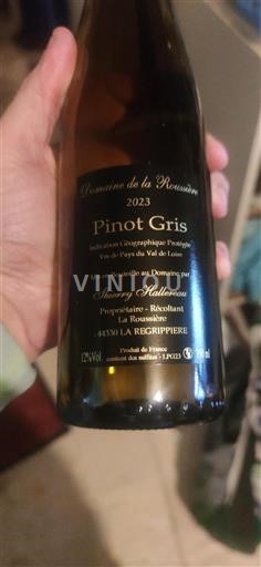 Valle del Loira No especificado Domaine La Roussière Pinot Gris 2023