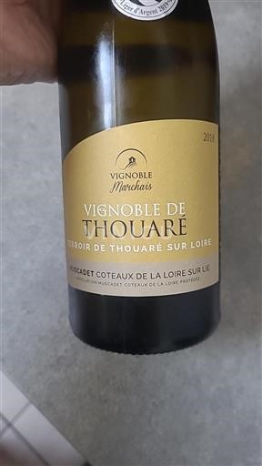 Valle della Loira Muscadet-Coteaux-de-la-Loire Vignoble Marchais Vignoble de Thouaré 2018