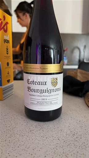 Burgundsko Burgundské vinice La Cave Augustin Florent 2023