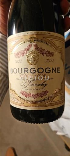 Bourgondië Bourgogne Côte d'Or S. Javouhey 2022