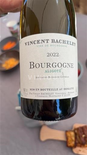 Burgundsko Bourgogne-aligoté Vincent Bachelet Aligoté 2022