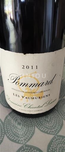 Burgundsko Pommard Domaine Chantal Lescure Les Vaumuriens 2011
