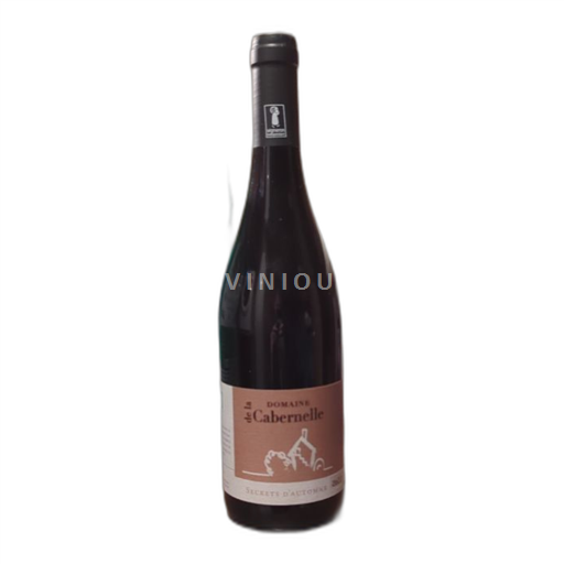 Valle della Loira Bourgueil Domaine de la cabernelle Secrets d'automne 2022