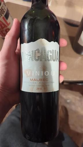 Mendoza Moncagua 2018