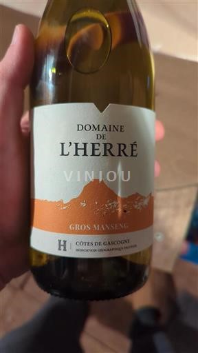 Sydvestfrankrig Côtes de Gascogne Domaine L'Herre Gros Manseng 2023