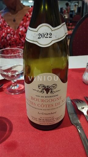 Borgogna Hautes Côtes de Nuits Bouillot Le Gruanchard 2022