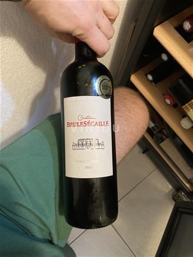 Bordeaux Côtes-de-bourg Château Brulesécaille 2022