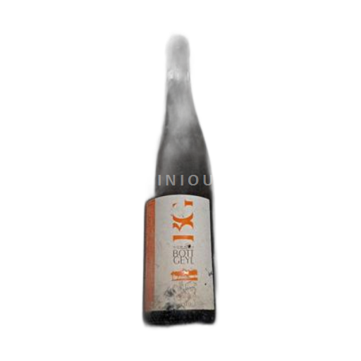 Alsazia Riesling Domaine Bott-Geyl 2010