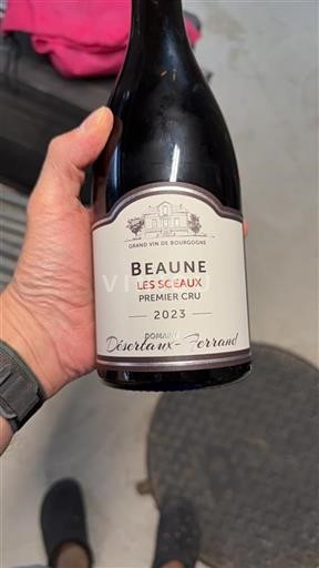 Bourgogne Beaune Premier Cru Domaine Désertaux-Ferrand Les Sceaux 2023