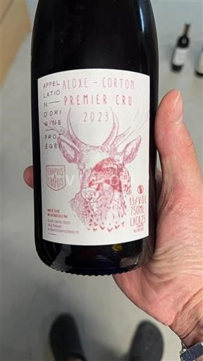Burgundsko Aloxe-Corton Premier Cru Chapuis & Chapuis 2023
