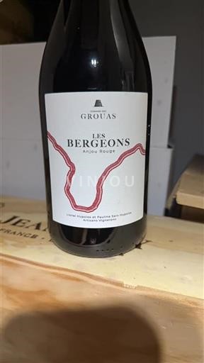 Valle della Loira Anjou Domaine Des Grouas Les Bergeons 2022