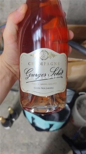 Vin Effervescent Rosé sec Nos Jardins Georges Sohet Non millésimé France Champagne AOC