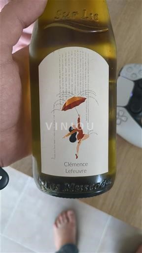 Loiren laakso Muscadet-sèvre-et-maine Clémence Lefeuvre 2020