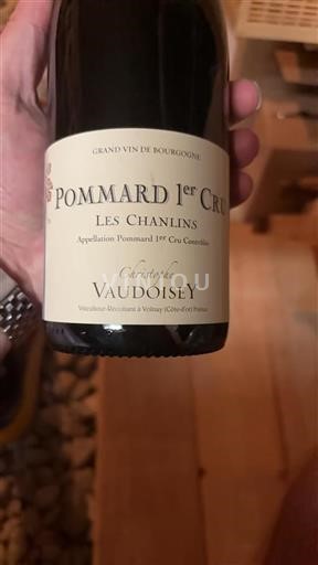 Burgundsko Pommard Premier Cru Christophe Vaudoisey Les Chanlins 2023