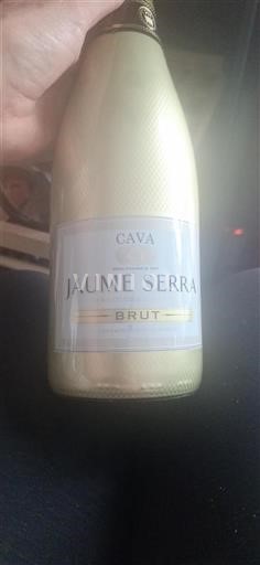 Catalonia Cava Jaume Serra Brut Non-Vintage