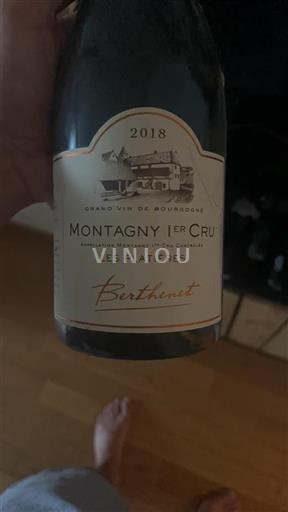 Bourgogne Montagny Premier Cru Berthenet Les Plâtières 2018