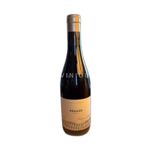 Castile and León Unspecified Viñas viejas de Pegasi Pegaso Granito 2021
