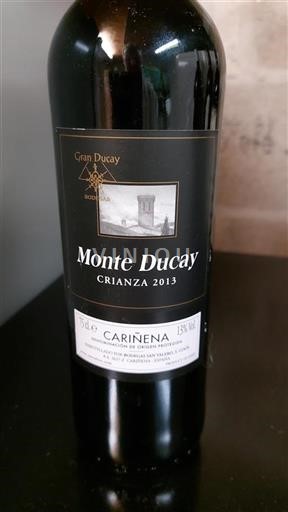 Aragon Cariñena Monte Ducay Crianza 2013