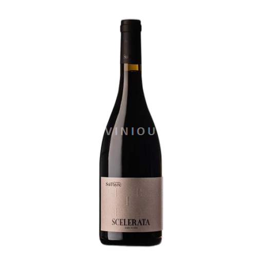 Roussillon Côtes du Roussillon Villages Domaine Sol Payré Scelerata Âme Noire 2022