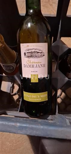 Bordeaux Entre-deux-mers Château Dame Jane 2006