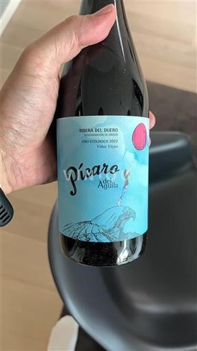 Castile and León Ribera del Duero Del Aguila Pícaro 2022