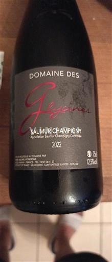 Vallée de la Loire Saumur-champigny Domaine Des Glycines 2022