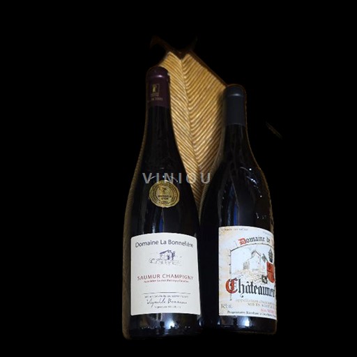 Vallée de la Loire Saumur-champigny Domaine La Bonnelière 2021