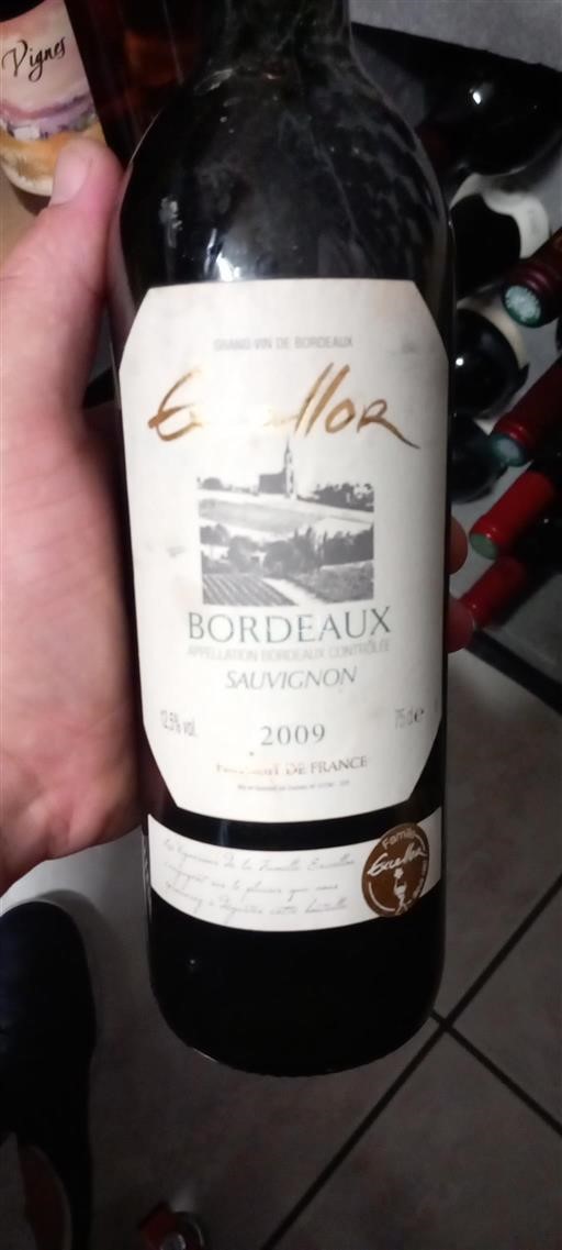 Bordeaux Sauvignon 2009