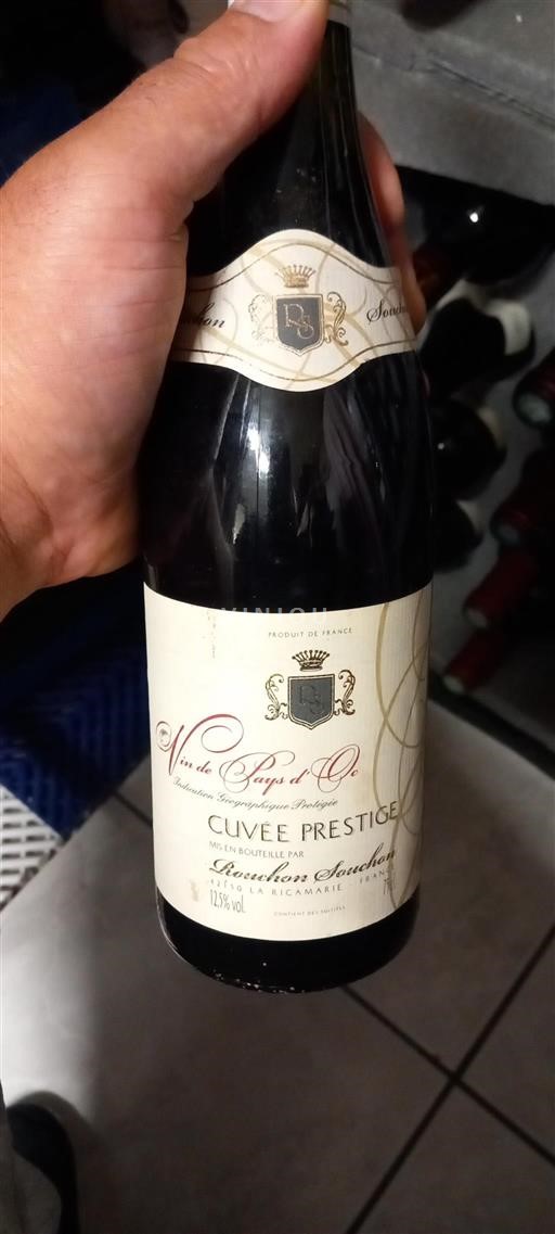 Linguadoca e Rossiglione Paese d'Oc Domaine La Ricamarie Prestige Senza annata