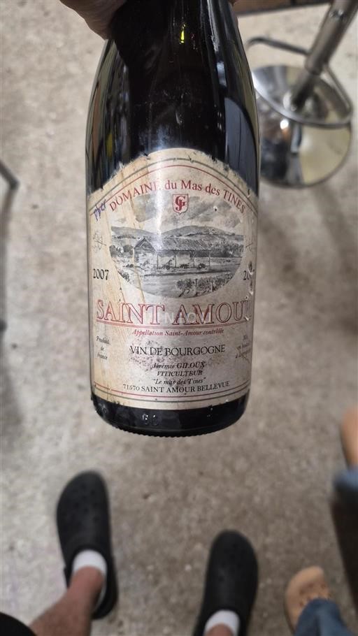 Beaujolais Saint-Amour Domaine Mas des Tines 2007