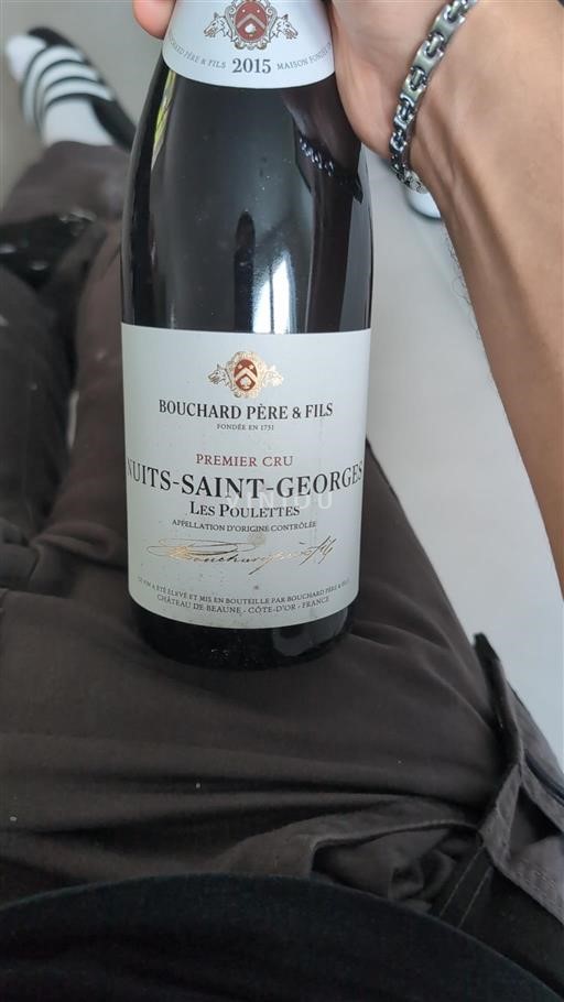 Bourgondië Nuits-saint-georges Premier Cru Domaine Bouchard Père & Fils Les Poulettes 2015