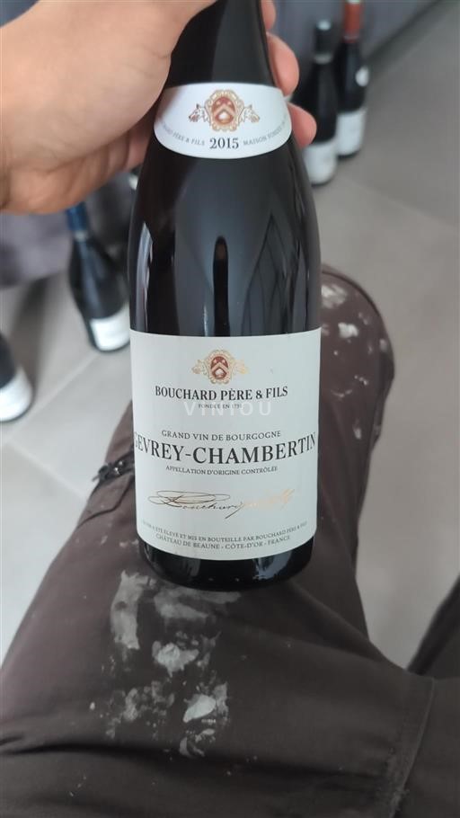 Burgundsko Gevrey-Chambertin Domaine Bouchard Père & Fils 2015