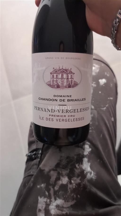 Burgundsko Pernand-Vergelesses Premier Cru Chandon de Briailles Île des Vergelesses 2017