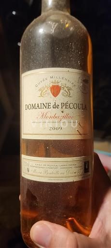 Südwestfrankreich Monbazillac Domaine Pécoula Millénaire 2009