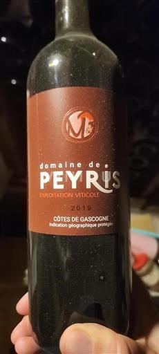 Sud-Ouest Côtes de Gascogne Domaine Peyris 2019