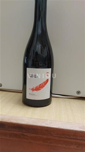 Beaujolais Richard Meyran 2019