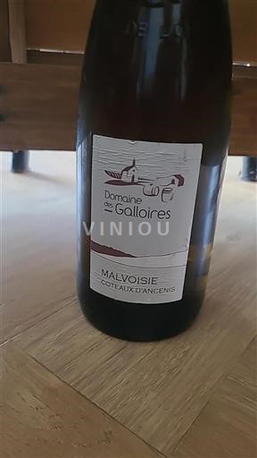 Valle della Loira Coteaux-d'Ancenis Domaine Des Galloires Malvoisie 2013