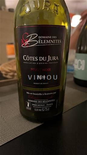 Jura Côtes du Jura Domaine Des Bélémites Pinot Noir 2020