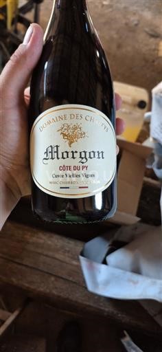 Beaujolais Morgon Domaine Des Chers Vieilles Vignes 2023