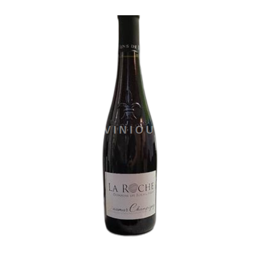 Loire Valley Saumur-Champigny Domaine Bourg Neuf La Roche Non-Vintage